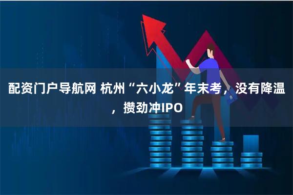 配资门户导航网 杭州“六小龙”年末考，没有降温，攒劲冲IPO